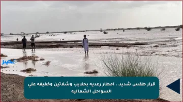 قرار طقس شديد.. أمطار رعدية بحلايب وشلاتين وخفيفة على السواحل الشمالية